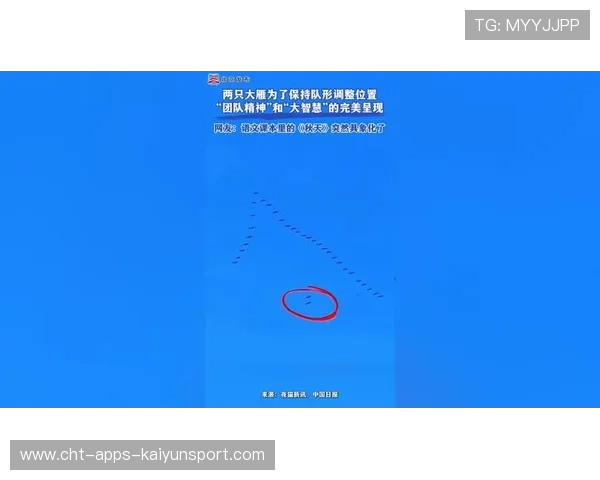 逆境逆转：团队合作的完美展示！，团队困境